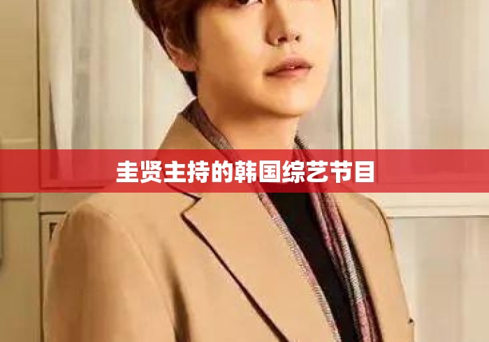 圭贤主持的韩国综艺节目 圭贤主持的韩国综艺节目