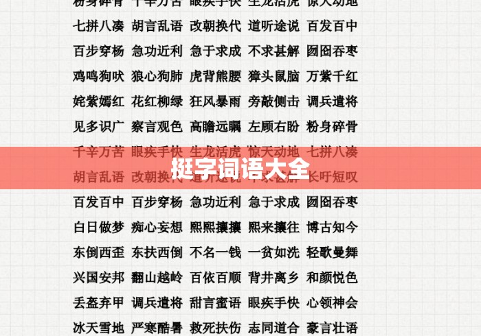 挺字词语大全
