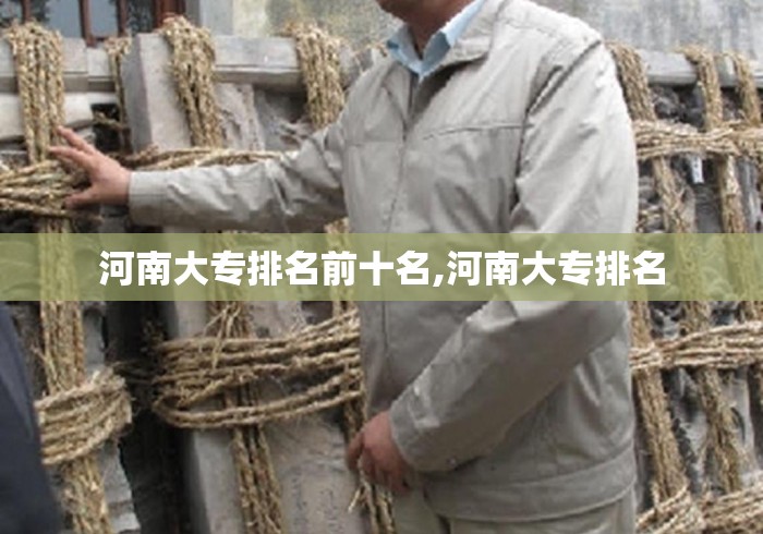 河南大专排名前十名,河南大专排名 河南大专排名前十名,河南大专排名