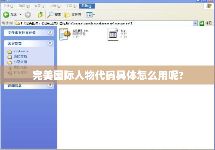 完美国际人物代码具体怎么用呢? 完美国际人物代码具体怎么用呢?