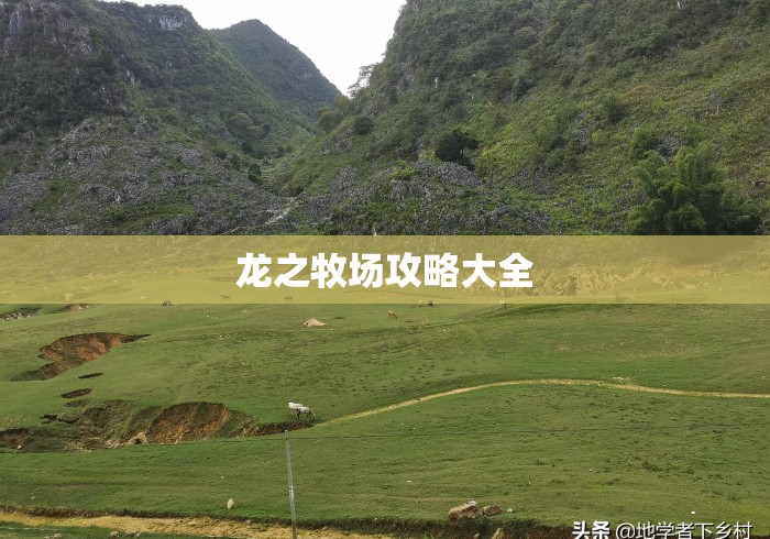 龙之牧场攻略大全
