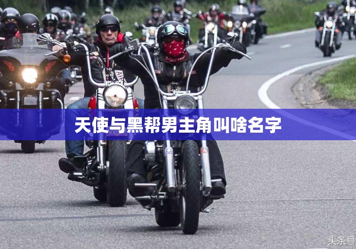 天使与黑帮男主角叫啥名字