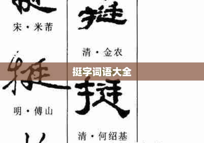 挺字词语大全 挺字词语大全