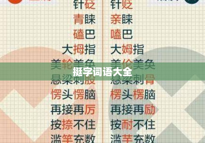 挺字词语大全