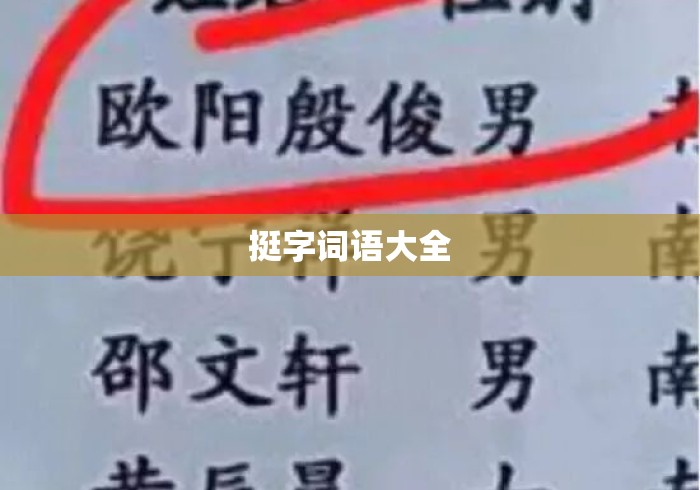 挺字词语大全