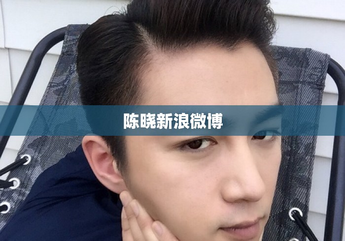 陈晓新浪微博 陈晓新浪微博