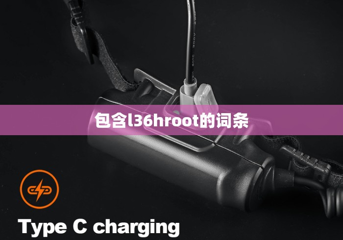 包含l36hroot的词条 包含l36hroot的词条