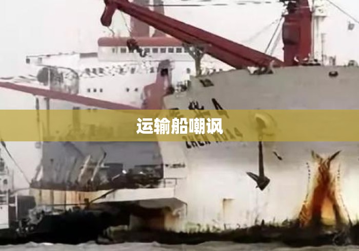 运输船嘲讽