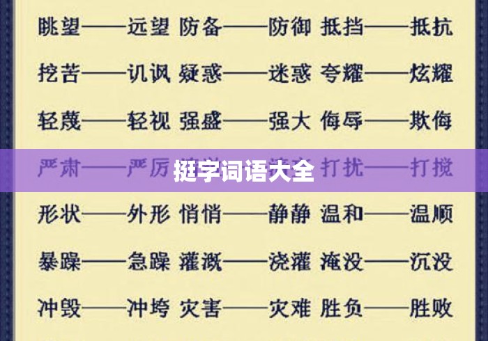 挺字词语大全