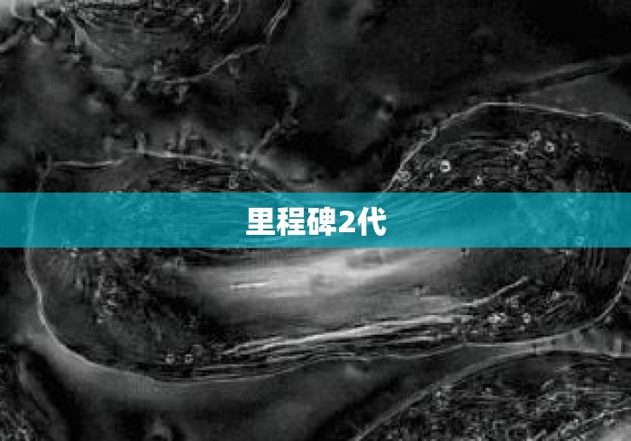 里程碑2代 里程碑2代