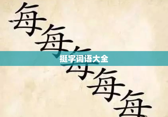 挺字词语大全
