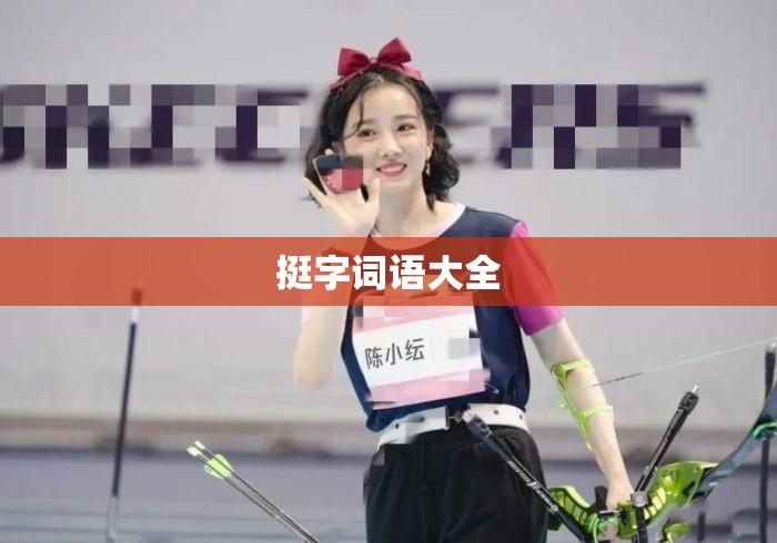 挺字词语大全