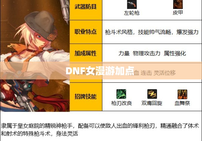 DNF女漫游加点 DNF女漫游加点