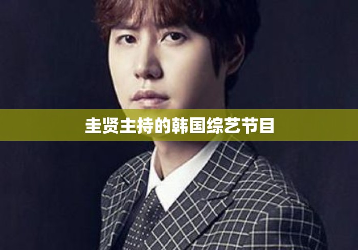 圭贤主持的韩国综艺节目 圭贤主持的韩国综艺节目
