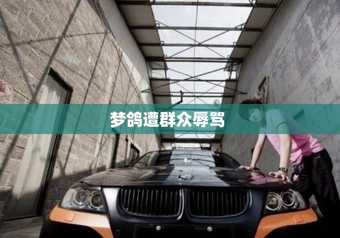 梦鸽遭群众辱骂 