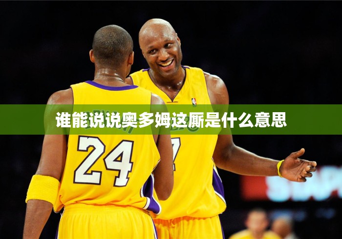 谁能说说奥多姆这厮是什么意思 谁能说说奥多姆这厮是什么意思