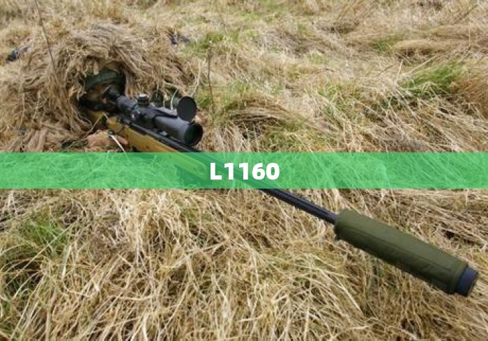 L1160 L1160