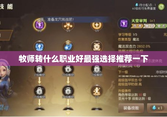 牧师转什么职业好最强选择推荐一下 牧师转什么职业好最强选择推荐一下