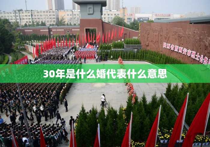 30年是什么婚代表什么意思