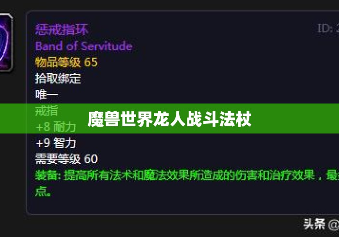 魔兽世界龙人战斗法杖