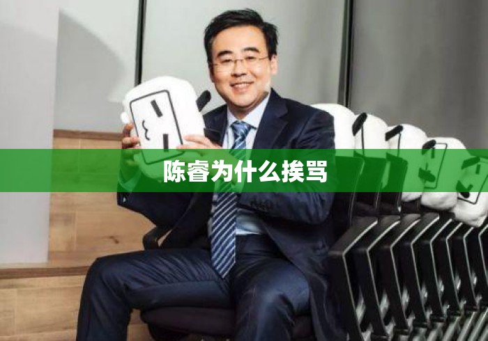 陈睿为什么挨骂 陈睿为什么挨骂