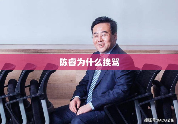 陈睿为什么挨骂 陈睿为什么挨骂