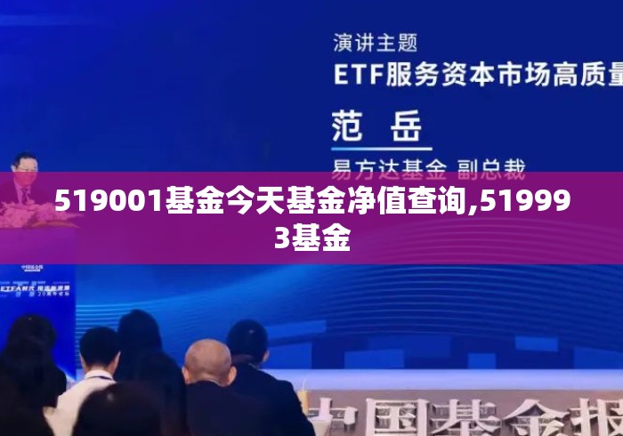 519001基金今天基金净值查询,519993基金 519001基金今天基金净值查询,519993基金