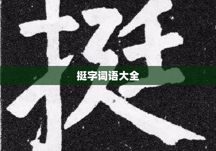 挺字词语大全