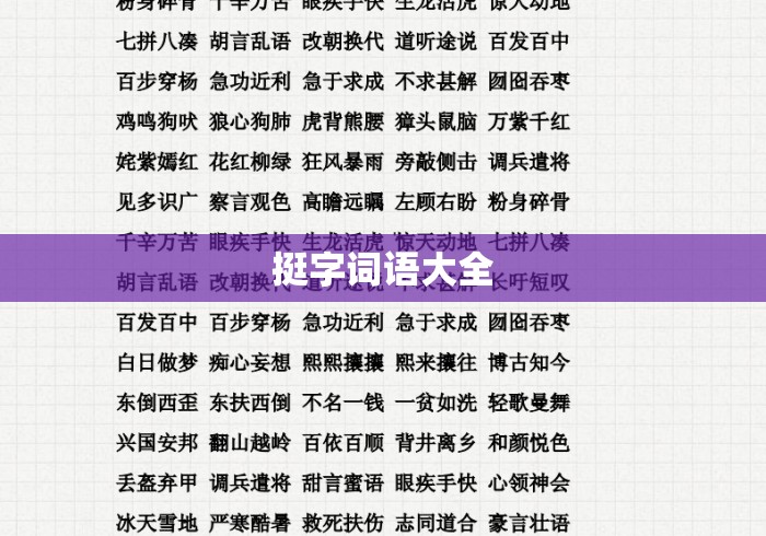 挺字词语大全