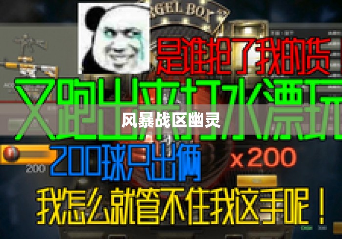 风暴战区幽灵