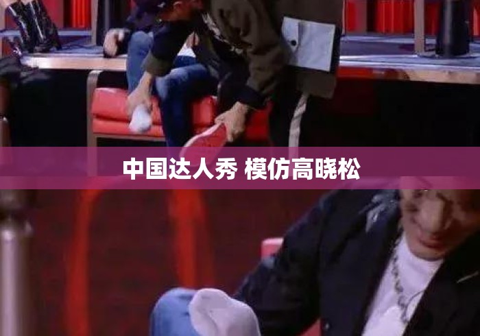 中国达人秀 模仿高晓松