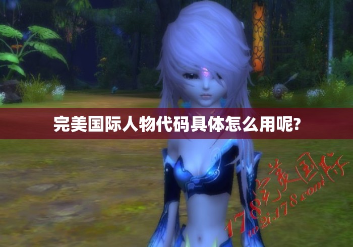 完美国际人物代码具体怎么用呢?
