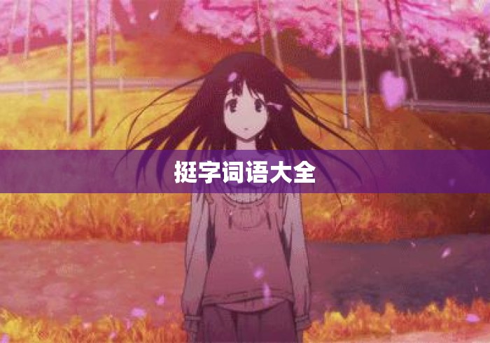 挺字词语大全