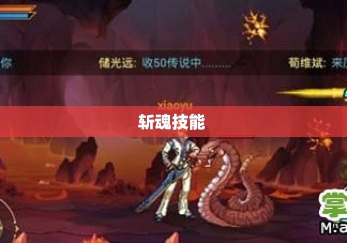 斩魂技能 斩魂技能