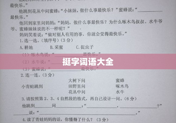 挺字词语大全 挺字词语大全