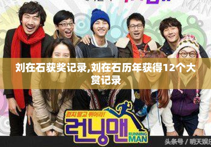 刘在石获奖记录,刘在石历年获得12个大赏记录