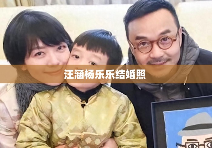 汪涵杨乐乐结婚照 
