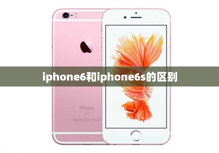 iphone6和iphone6s的区别