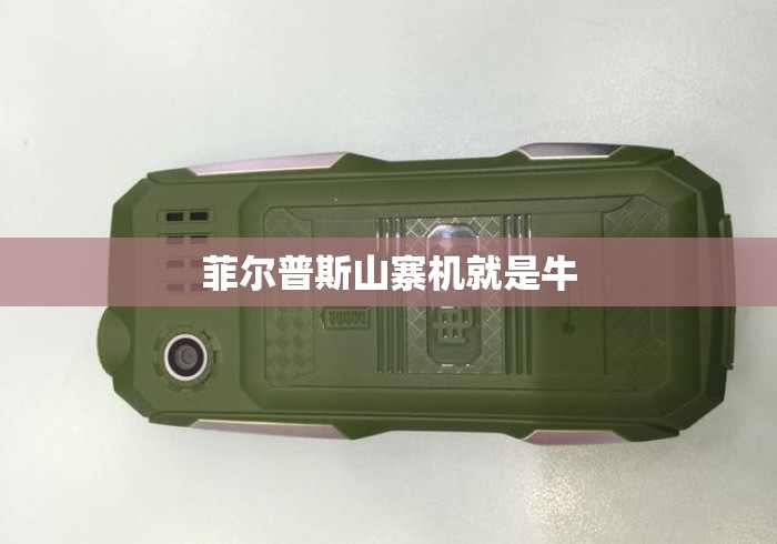 菲尔普斯山寨机就是牛