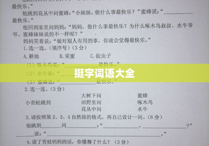 挺字词语大全