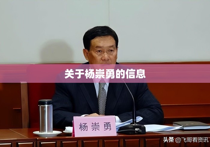关于杨崇勇的信息 关于杨崇勇的信息