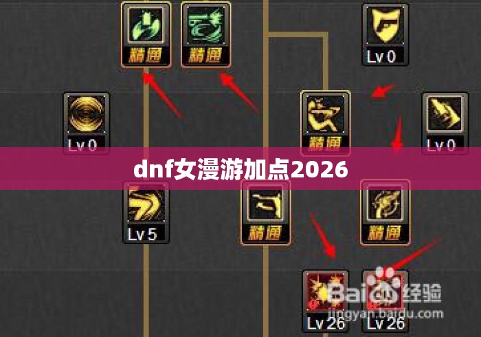 dnf女漫游加点2026 dnf女漫游加点2026