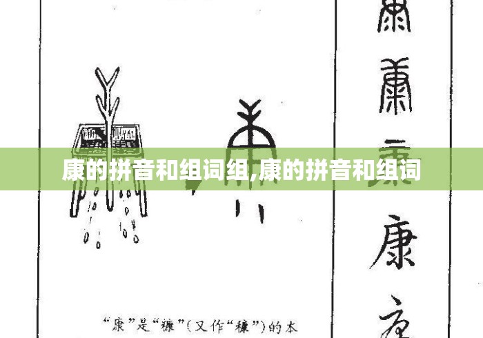 康的拼音和组词组,康的拼音和组词