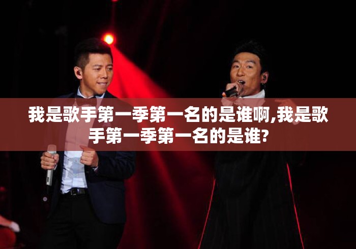 我是歌手第一季第一名的是谁啊,我是歌手第一季第一名的是谁?