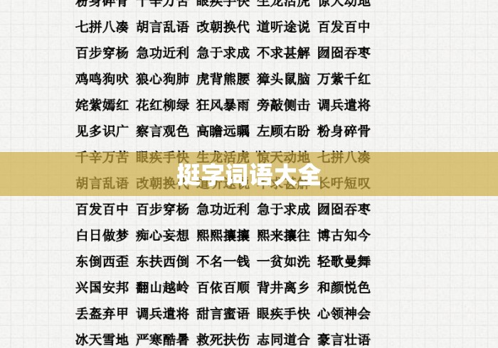 挺字词语大全