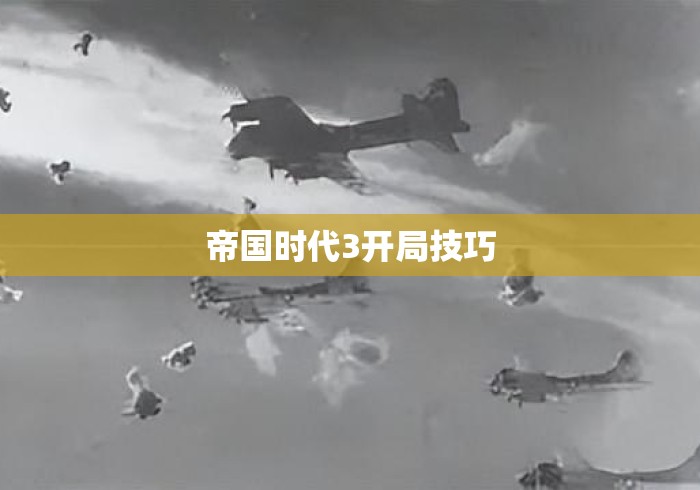 帝国时代3开局技巧 帝国时代3开局技巧