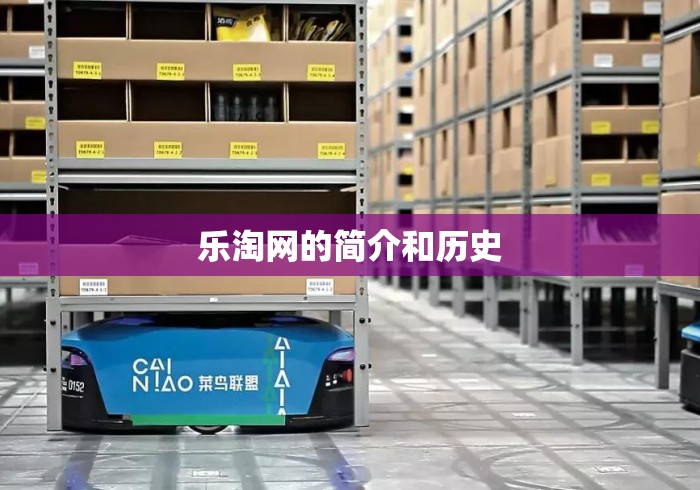 乐淘网的简介和历史