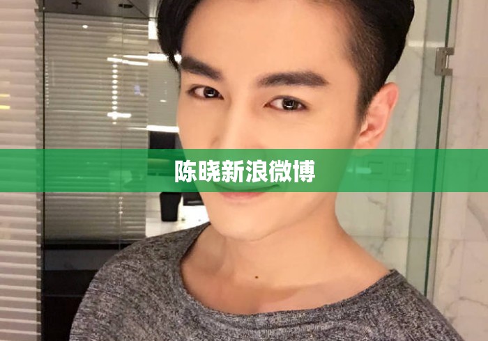 陈晓新浪微博 陈晓新浪微博
