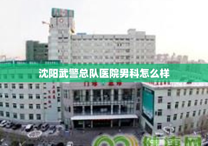 沈阳武警总队医院男科怎么样