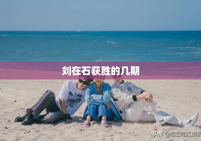 刘在石获胜的几期